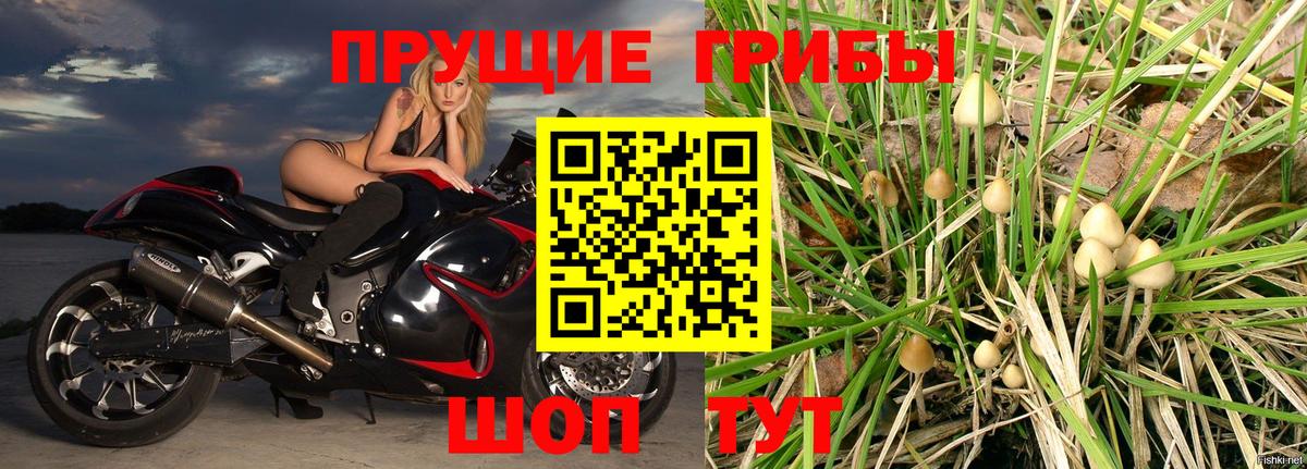 Ливны  Галлюциногенные грибы ЛСД  Вход с VPN 
