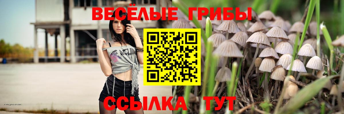 Псилоцибиновые грибы мухоморы Ливны