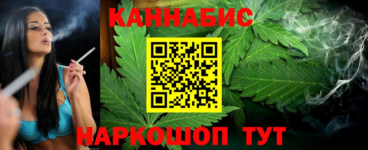 Конопля планчик Ливны